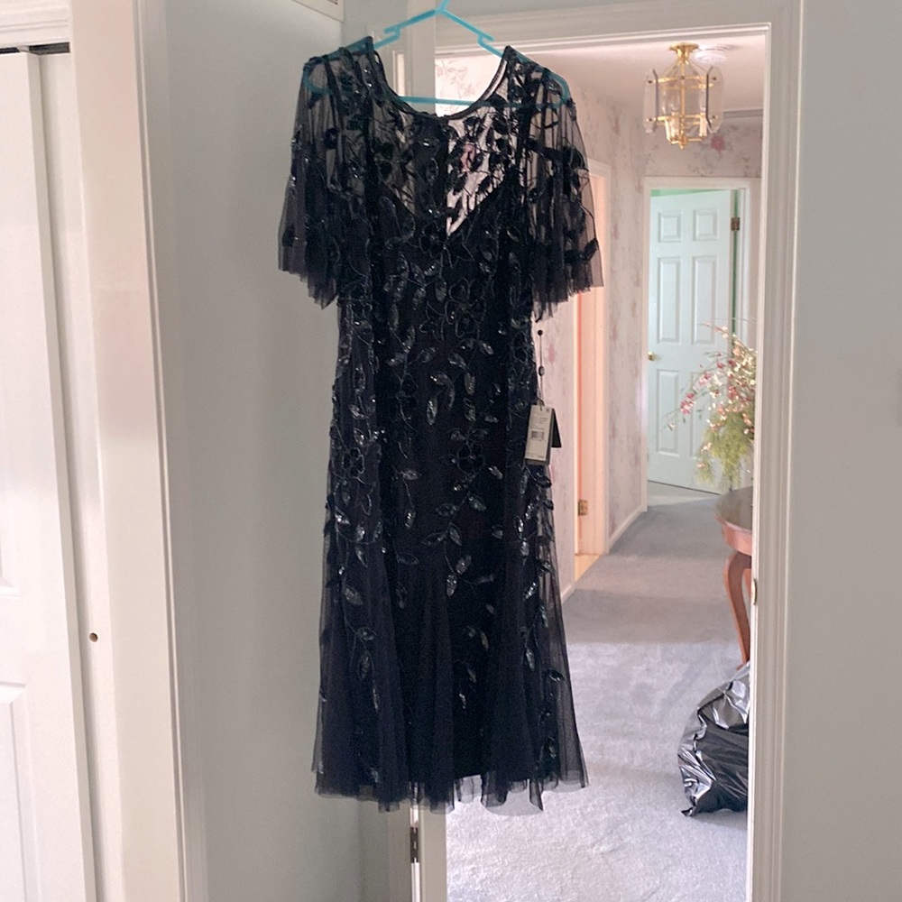 Adrianna Papell formal dress I bought for a wedding but never wore